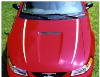 2009 Mustang Hood Cowl Stripes - 45TH Anniversary Designation